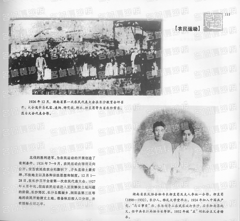 111农民运动