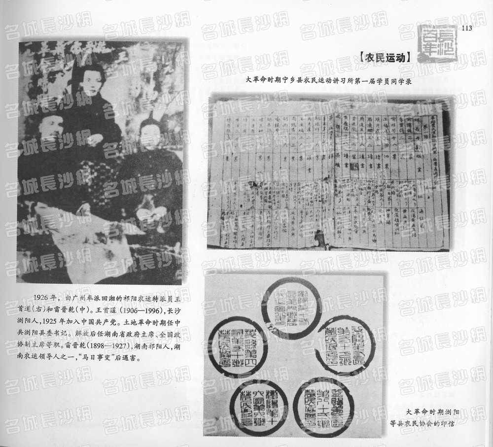 113农民运动