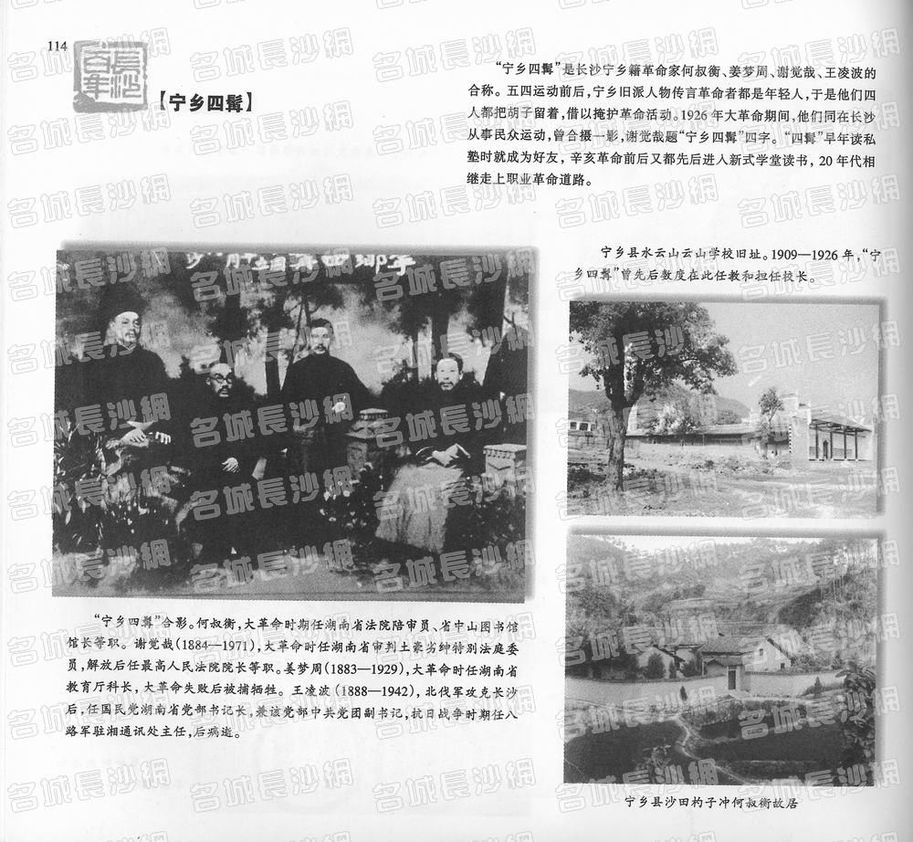 114宁乡四髯