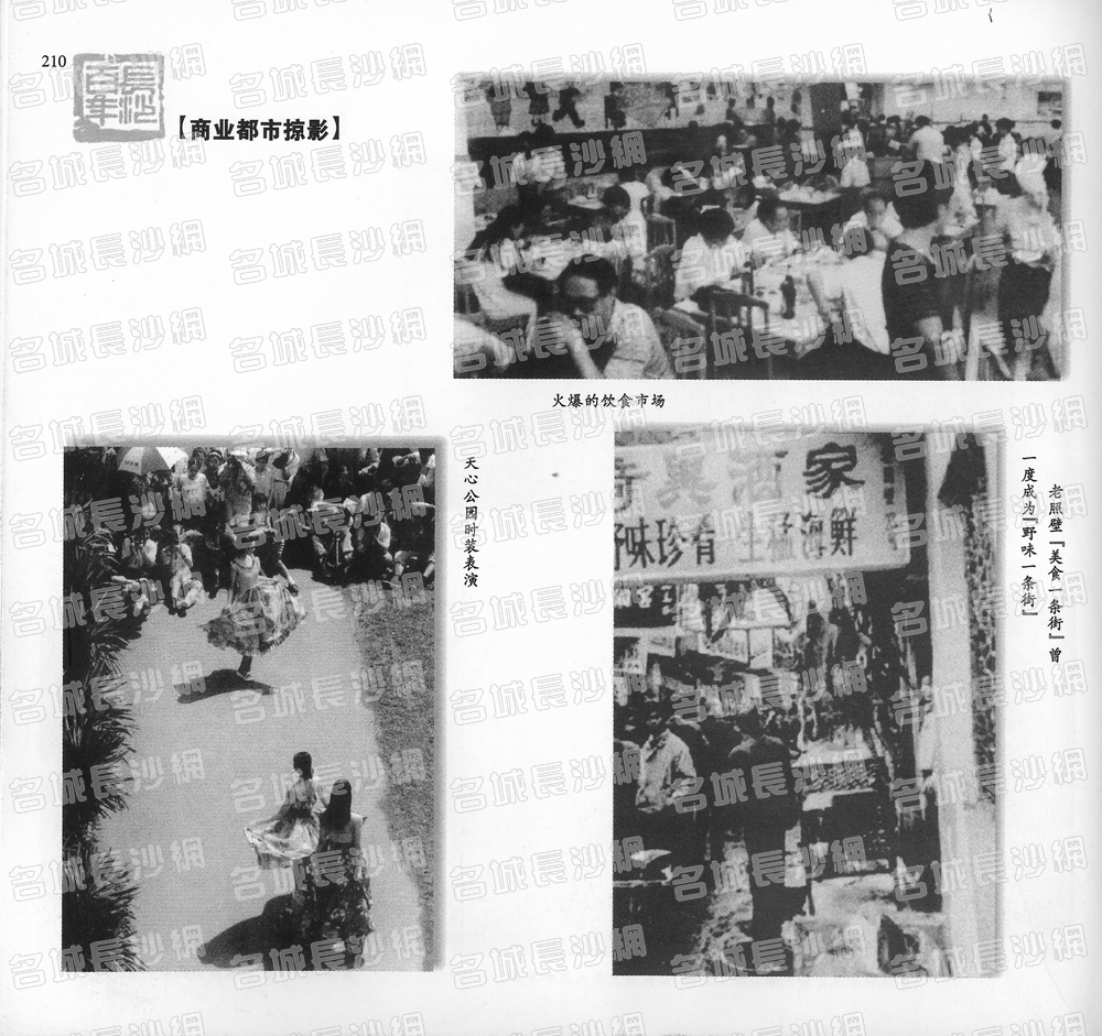 210商业都市掠影