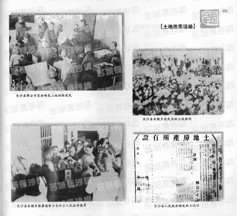 223土地改革运动
