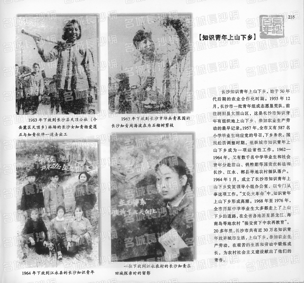 235知识青年上山下乡