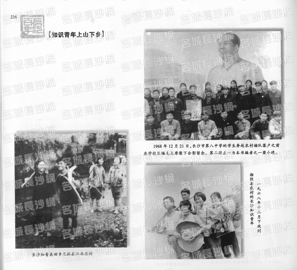 236知识青年上山下乡