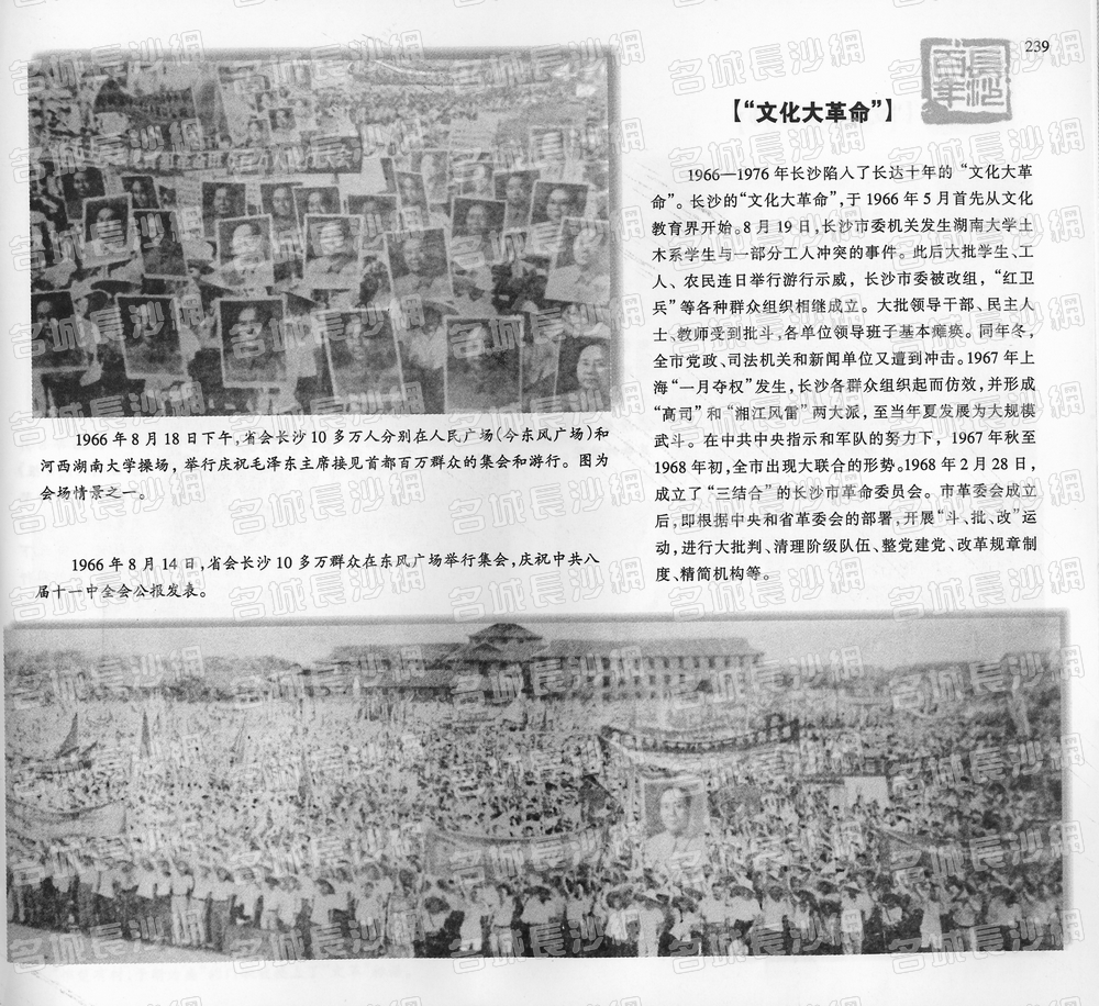 239“文化大革命”