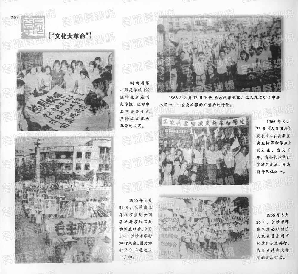 240“文化大革命”