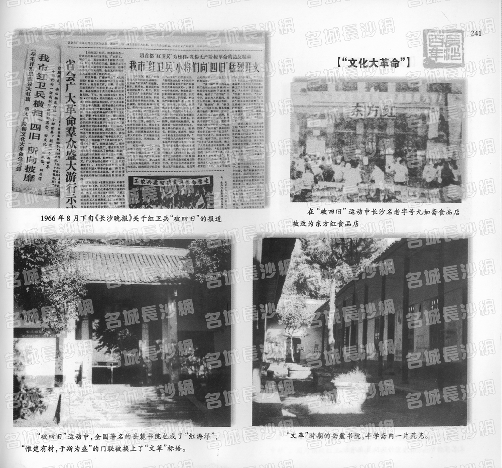 241“文化大革命”