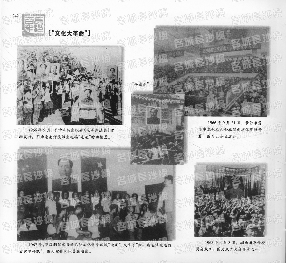 242“文化大革命”
