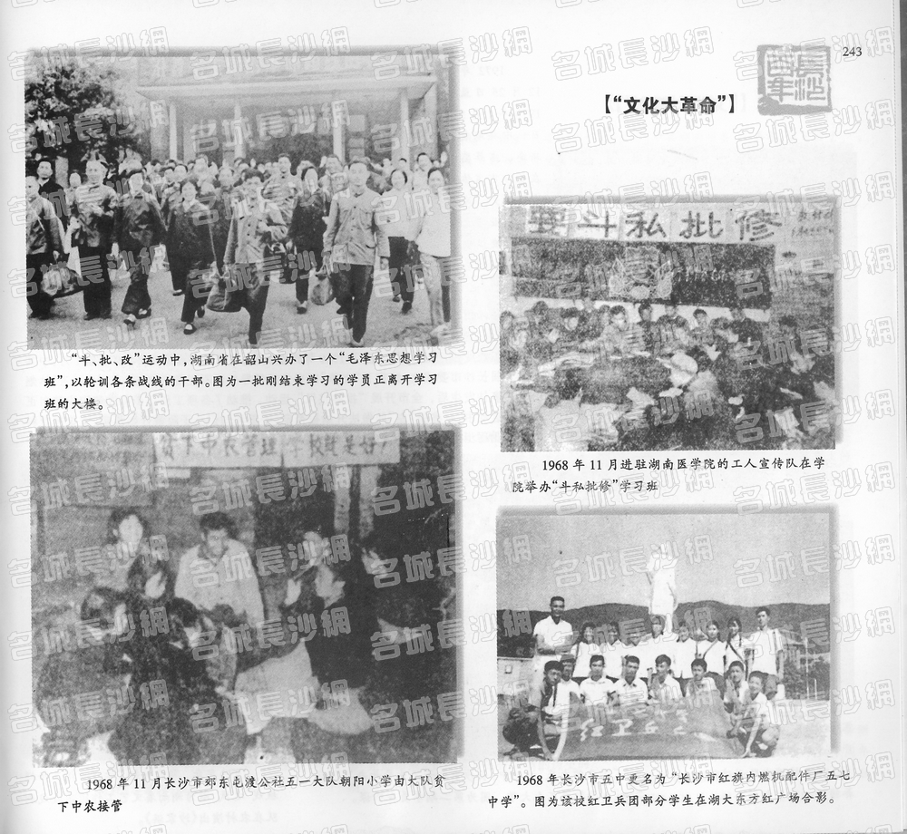 243“文化大革命”