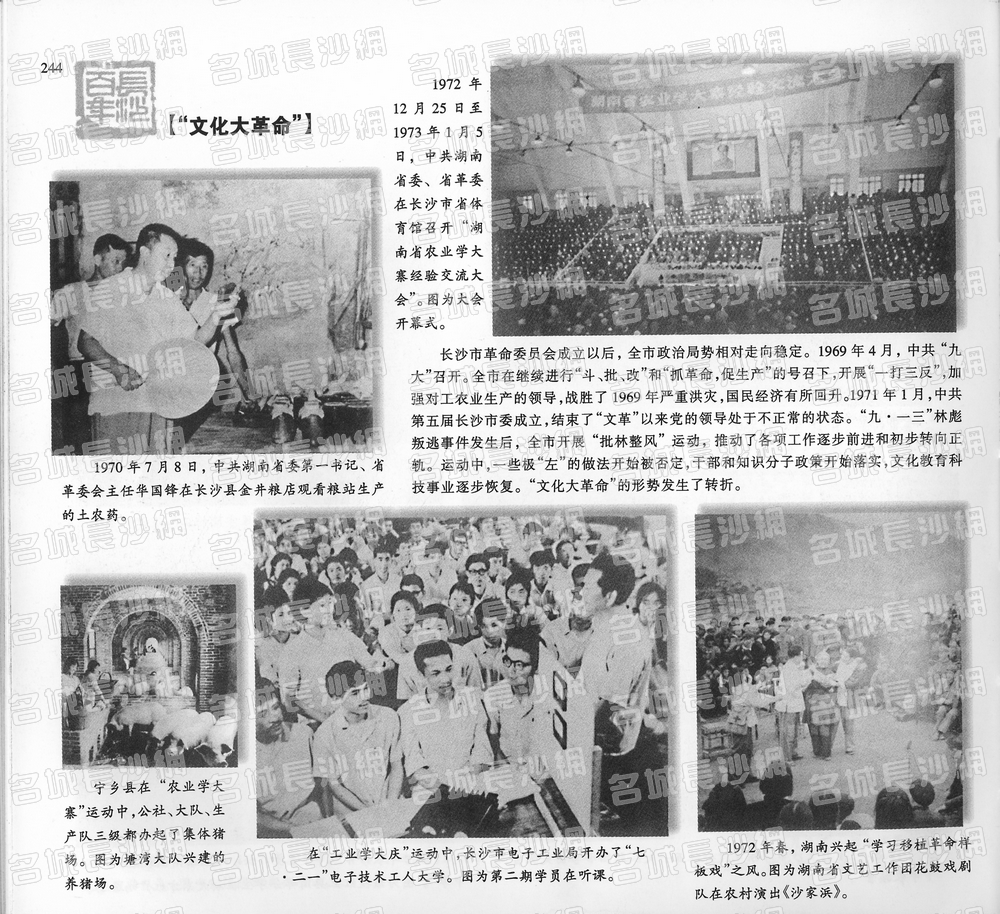 244“文化大革命”