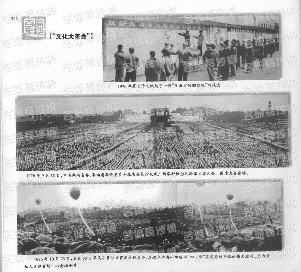 246“文化大革命”