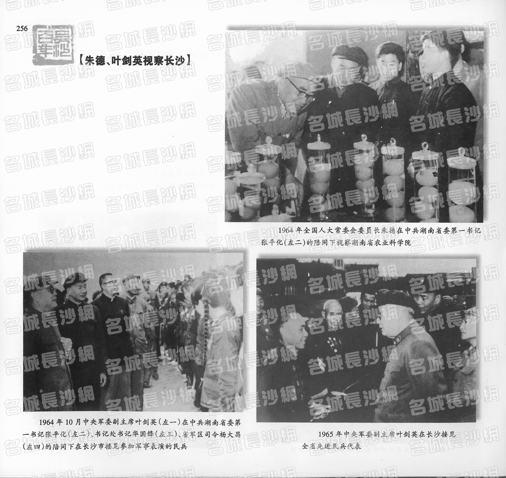 256朱德、叶剑英视察长沙