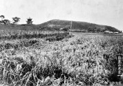 1917年长沙_岳麓山风景