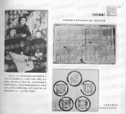 长沙百年之从讨袁护国到土地革命_113农民运动