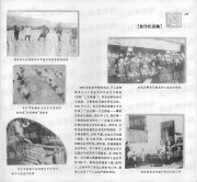 长沙百年之共和国大事写真_229合作化运动