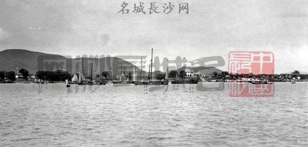 ųӰ֮1911ĳɳ潭